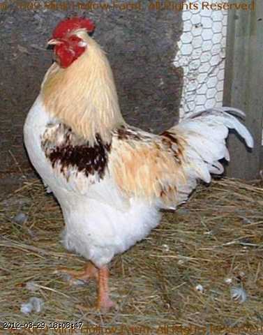 2005-12-14_11-58-41_001.jpg