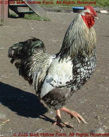 2008-07-29 041.jpg