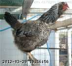 2009-05-23_08-50-25_243.jpg