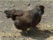 2009-06-16_12-14-16_192.jpg