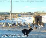 07-12-044_wm.jpg