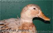 04-03-20-peggy-05_w.jpg