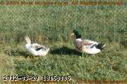 2005-08-02_09-15-01_001.jpg