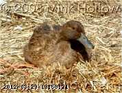 04-03-20-kc-09_w.jpg