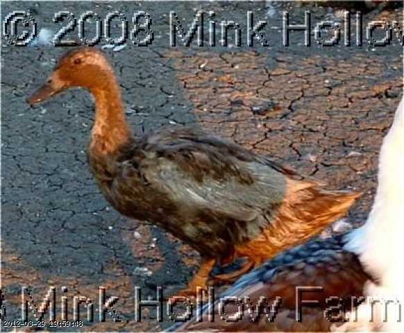 05-08-072_w.jpg