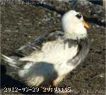 04-01-11-4_w.jpg