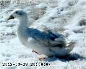 04-03-20-an-01_w.jpg