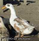 Apr 029.jpg