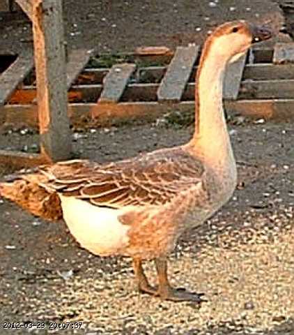 august080.jpg