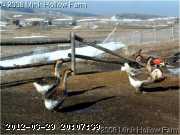 s-ba-28-02-04-01_w.jpg