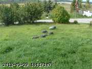 07-08-077_wm.jpg