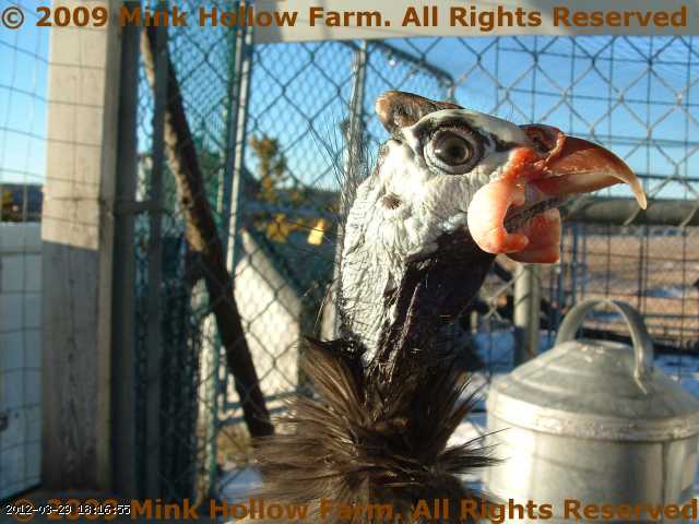 2005-12-14_21-54-38_001.jpg