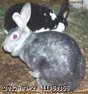 2009-03-14_09-41-44_001.jpg