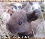 2011-03-23_12-52-17_002.jpg