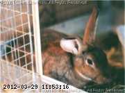 petey-95.jpg