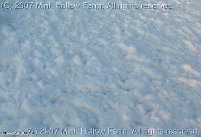 dec 026.jpg