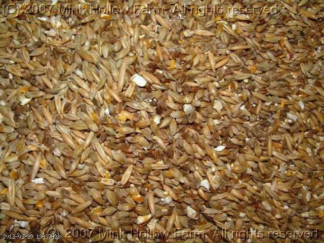 dec 030.jpg