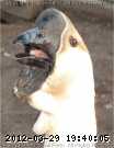 2009-05-14_19-54-35_215.jpg