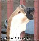 2009-05-14_19-54-43_216.jpg