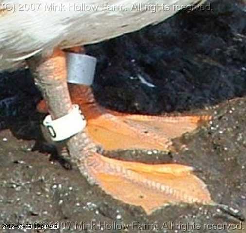 feet1.jpg