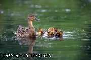 mom-kids.jpg