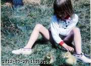 1994-Bailey-goslings.jpg