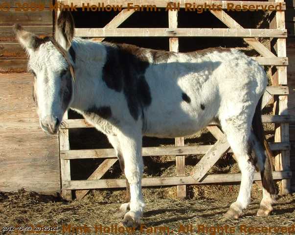 2005-12-14_22-19-23_001.jpg