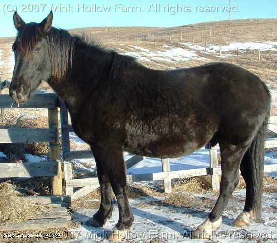 dec 089.jpg