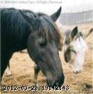 sm-puzzle-q3-apr-2003.jpg