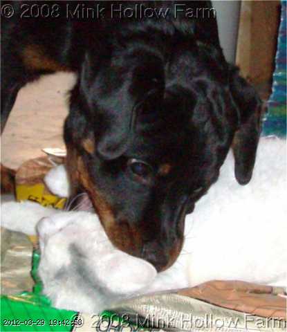 2008-01-12-02-w.JPG