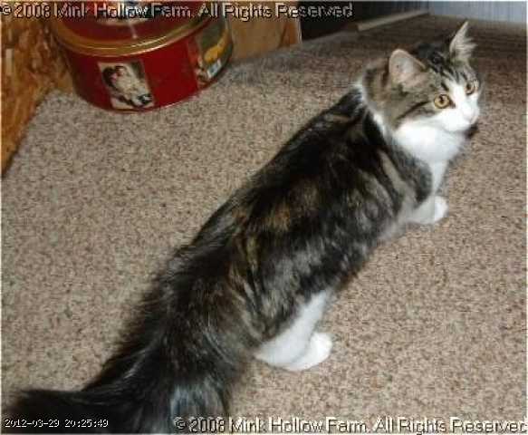 2004-mort-8.jpg