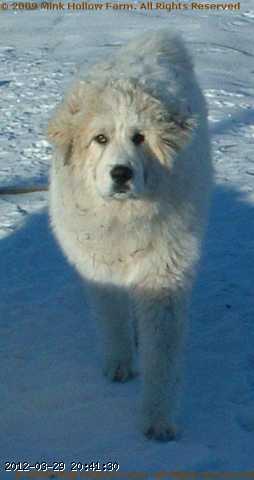 2005-12-06_23-05-43_001.jpg