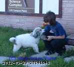 2005-puppy2c.jpg