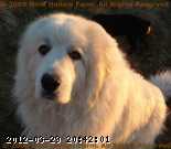 2007-09-16_08-20-13_001.jpg