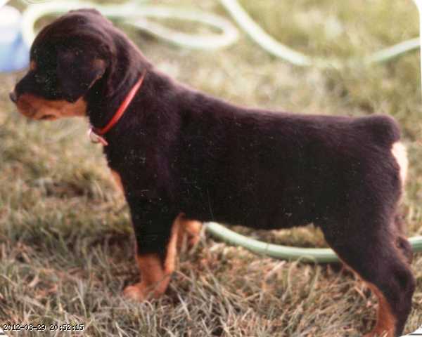 1983-056.jpg
