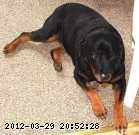 2005-mar 091b.jpg