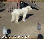 2006-07-02_09-13-42_001.jpg