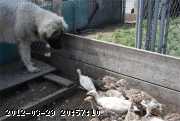 2009-07-24_12-22-09.jpg