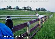 06-july047_edited.jpg