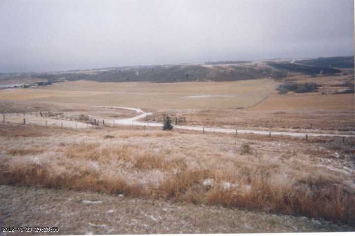 1998-006d.jpg