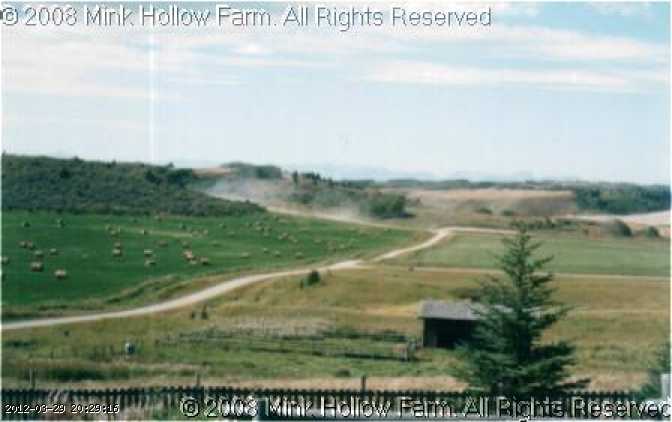sm-farm-fall.jpg