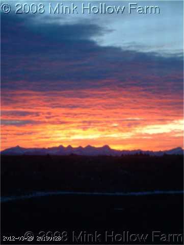 07-01-11-02-w.jpg