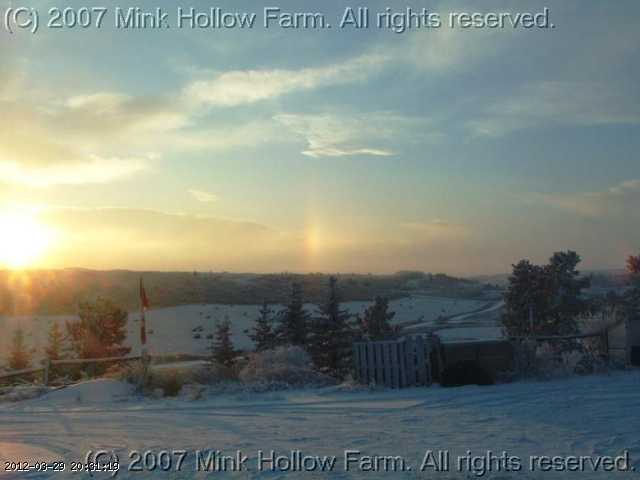 dec 049.jpg
