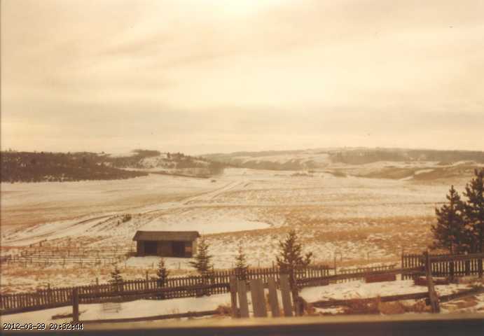 1996-004d.jpg