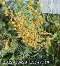06-july037_edited.jpg