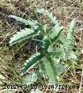 06-july046_edited.jpg