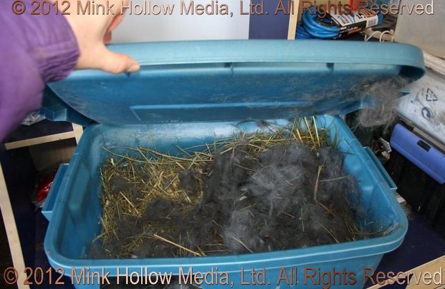 Tote Bin Nestbox: As you can see, there is plenty of room to build a great nest. Tote Bin Nestbox: As you can see, there is plenty of room to build a great nest.