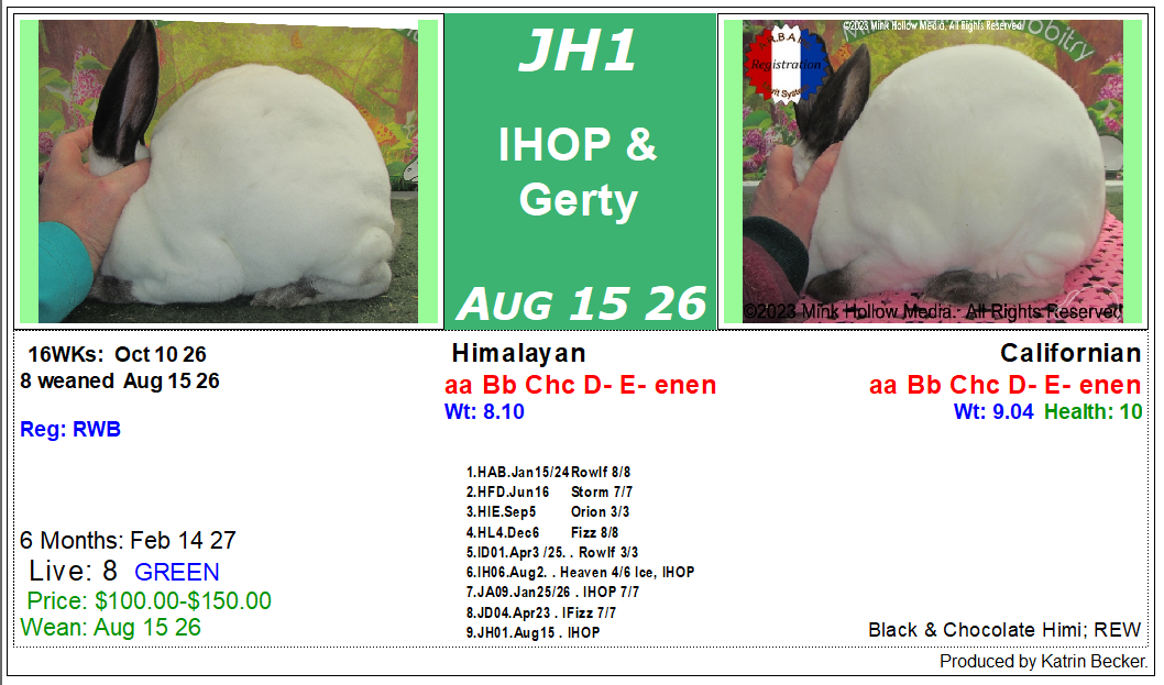 litter-jh1.png litter-jh1.png