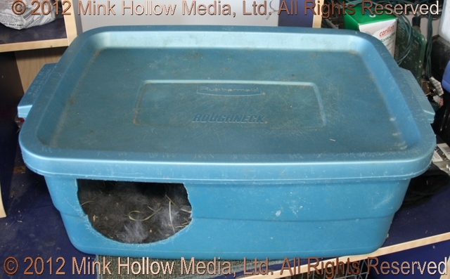 Tote Bin Nestbox: I use Roughneck 38L tote bins. The plastic is soft enough to
allow me to cut a hole for a door without the bin cracking. These last a very... Tote Bin Nestbox: I use Roughneck 38L tote bins. The plastic is soft enough to
allow me to cut a hole for a door without the bin cracking. These last a very...