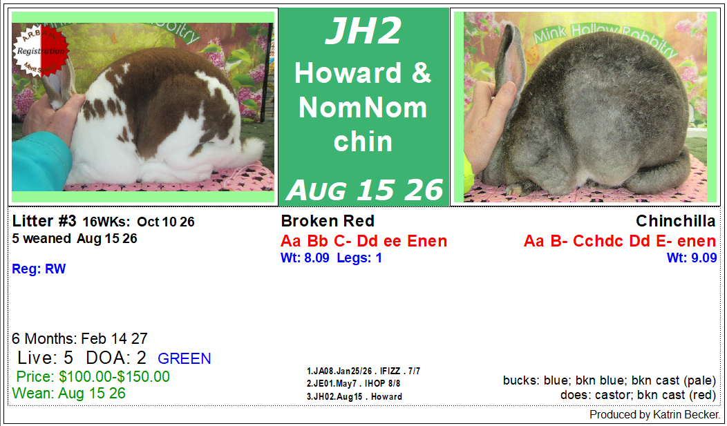 litter-jh2.png litter-jh2.png